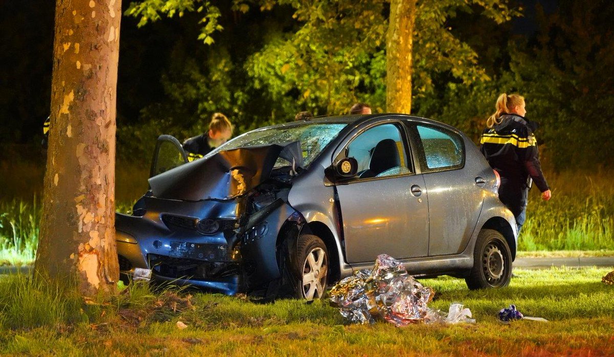 Zwaargewonde automobiliste na botsing tegen boom