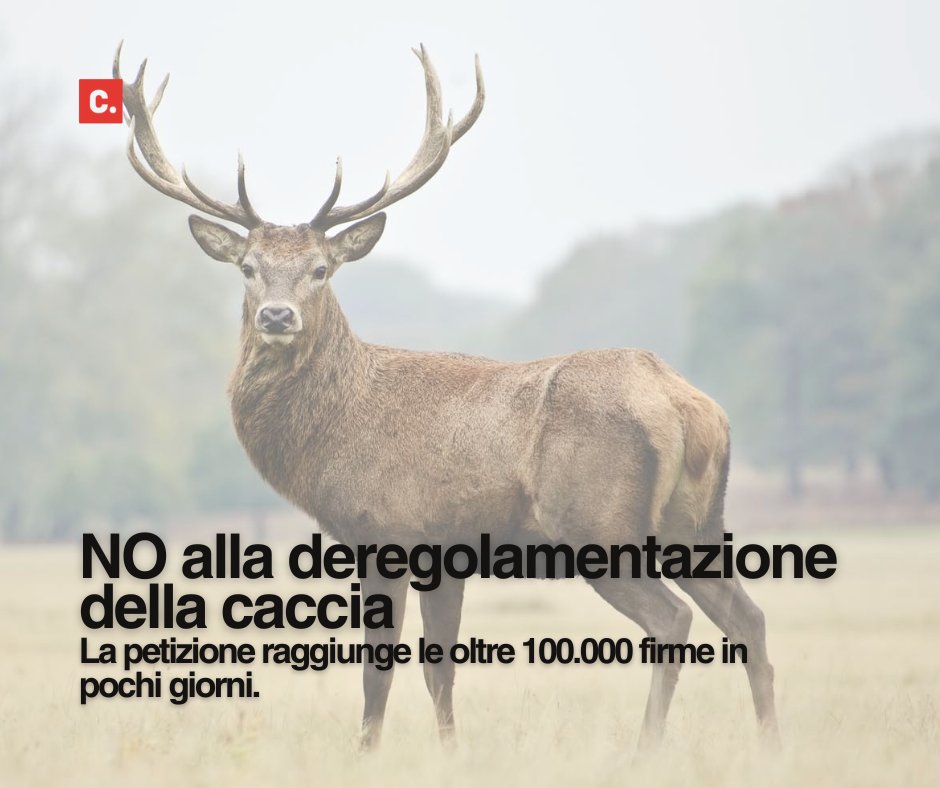 🟢 Deregolamentazione della caccia: in pochi giorni, oltre 100.000 firme su Change.org per dire NO alla proposta di legge #lollobrigida.

✍️ Firma anche tu.
📎 change.org/p/no-alla-dere…

#StopDeregolamentazioneCaccia #DifendiamoLaNatura #ChangeItalia #Petizione