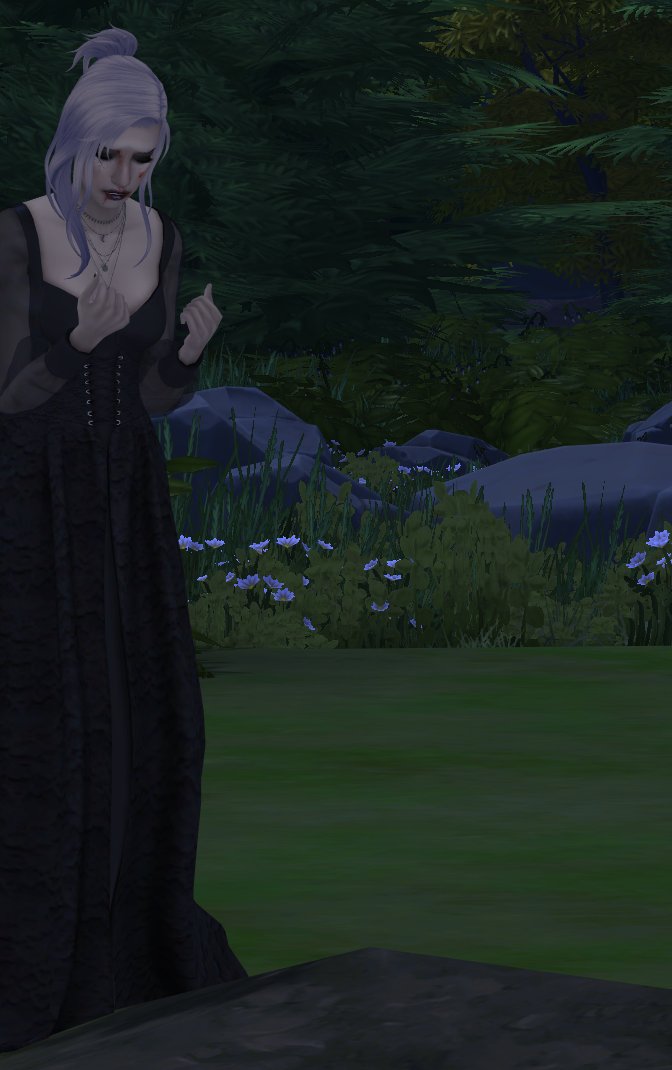 RowanJSims's tweet image. 