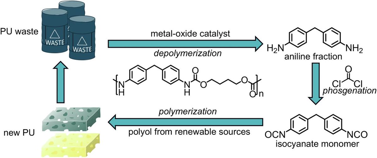 Ning Yan Lab (@ning_yan_lab) on Twitter photo ♻️Plastic conversion!
Our collaborative work with Prof. Paul Dyson on polyurethane depolymerization is now online in <a href="/NatureComms/">Nature Communications</a>! Herein, the conversion of model carbamate compounds with high yield of aniline products is achieved using a CeO2 catalyst!
rdcu.be/enSzP ♻️Plastic conversion!
Our collaborative work with Prof. Paul Dyson on polyurethane depolymerization is now online in <a href="/NatureComms/">Nature Communications</a>! Herein, the conversion of model carbamate compounds with high yield of aniline products is achieved using a CeO2 catalyst!
rdcu.be/enSzP