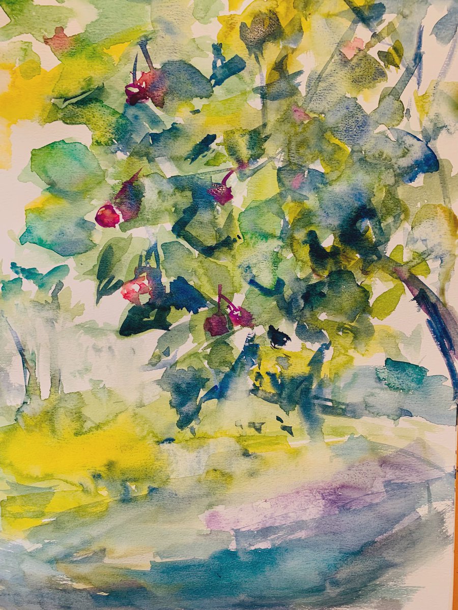 aUmiLievv's tweet image. さくらんぼの木の下 
under the cherry tree
#watercolor
