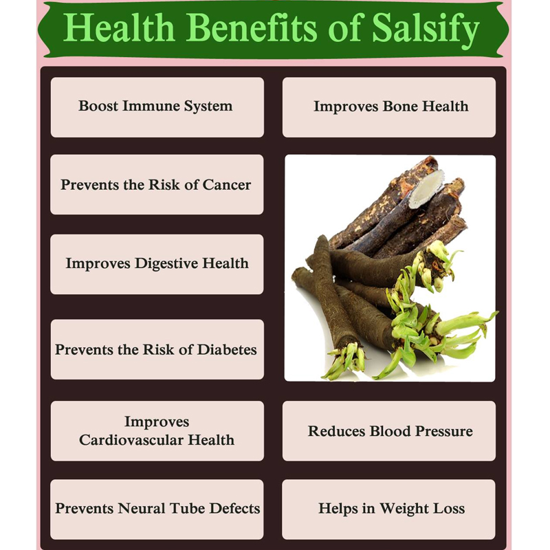 OrganicLiveFood's tweet photo. #Salsify is rich in #prebiotic fibers like #inulin & FOS, which is beneficial for #gut bacteria, promoting #guthealth.
These prebiotics are not digested in small intestine, instead traveling to the colon where they are fermented by gut bacteria, producing beneficial byproducts