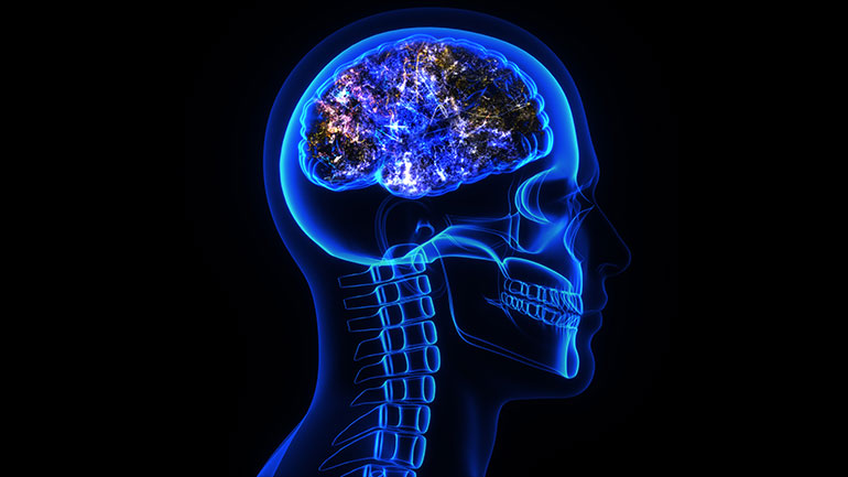 University of Leicester (@uniofleicester) on Twitter photo News | A platform set up to help researchers look into the causes and treatments for neuro-degenerative diseases has released its first biomarker dataset
👉 le.ac.uk/news/2025/may/…
#CitizensOfChange | <a href="/imi_epnd/">European Platform for Neurodegenerative Diseases</a> News | A platform set up to help researchers look into the causes and treatments for neuro-degenerative diseases has released its first biomarker dataset
👉 le.ac.uk/news/2025/may/…
#CitizensOfChange | <a href="/imi_epnd/">European Platform for Neurodegenerative Diseases</a>