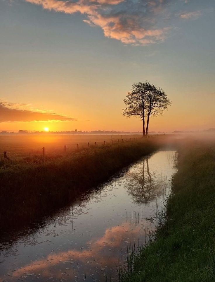 Monday's Rule.. ✴️