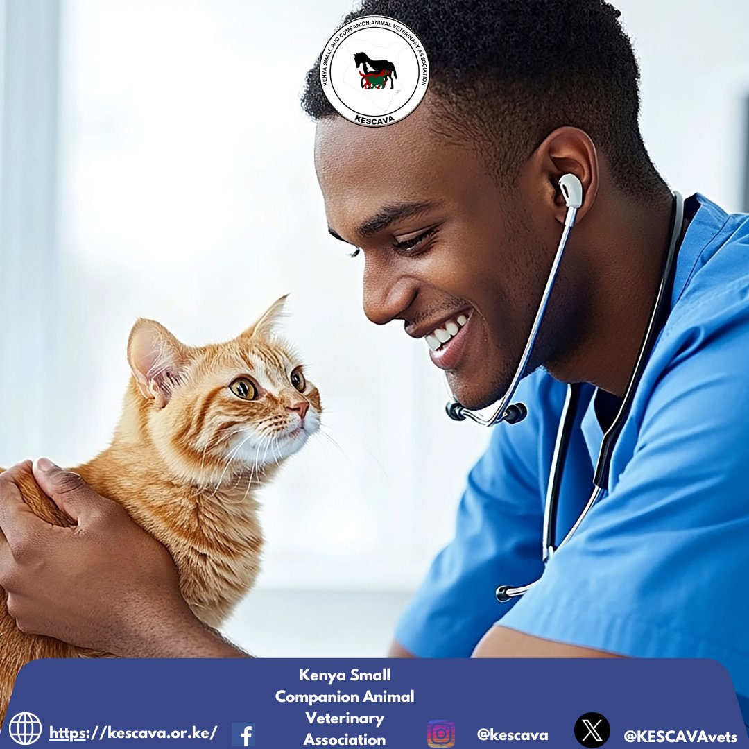 Did you know? 🤔

Laughter 😂 really is medicine. Laughing reduces stress hormones and boosts your immune system. 💊

For vets facing high-pressure days, finding moments of joy is essential for your mental health. 💙🐾

Your well-being matters. 😊

#VetMentalHealth