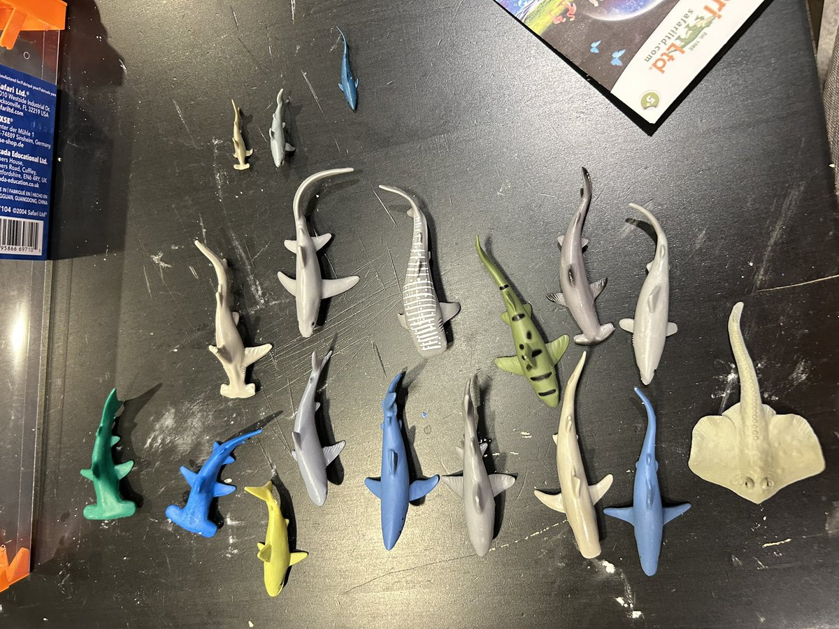 Shark inspired gear coming soon