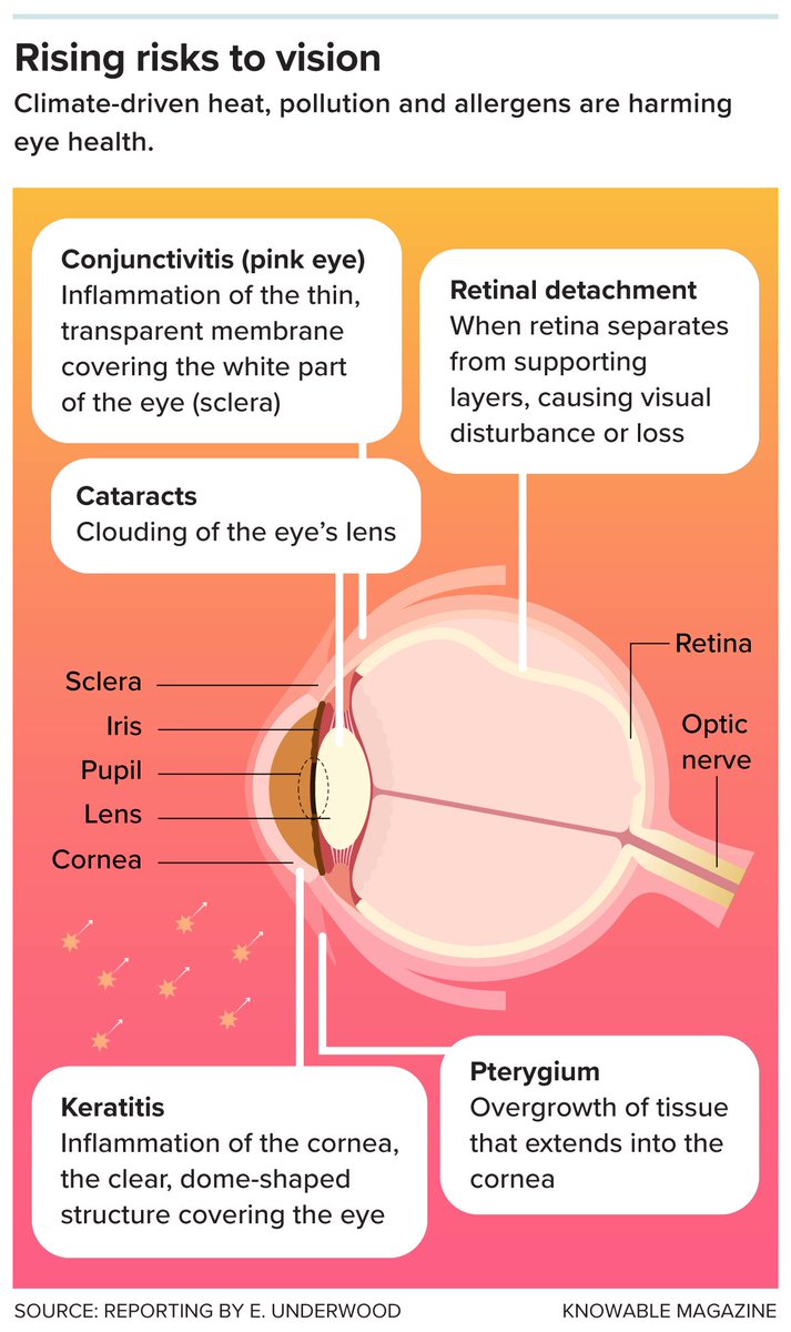 #HYST?
Climate change isn't just about rising temperatures—it's impacting our vision too. From cataracts to conjunctivitis, increased heat and UV exposure are taking a toll on eye health. Insightful piece by <a href="/snktjain/">Sanket Jain</a> via <a href="/YaleClimate/">YCEI</a>. More: yaleclimateconnections.org/2025/05/how-cl…
