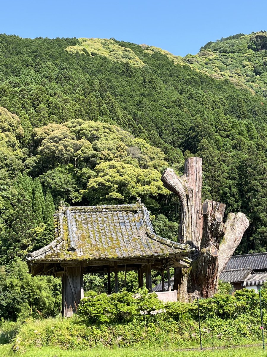 これはなんでしょ⁉️