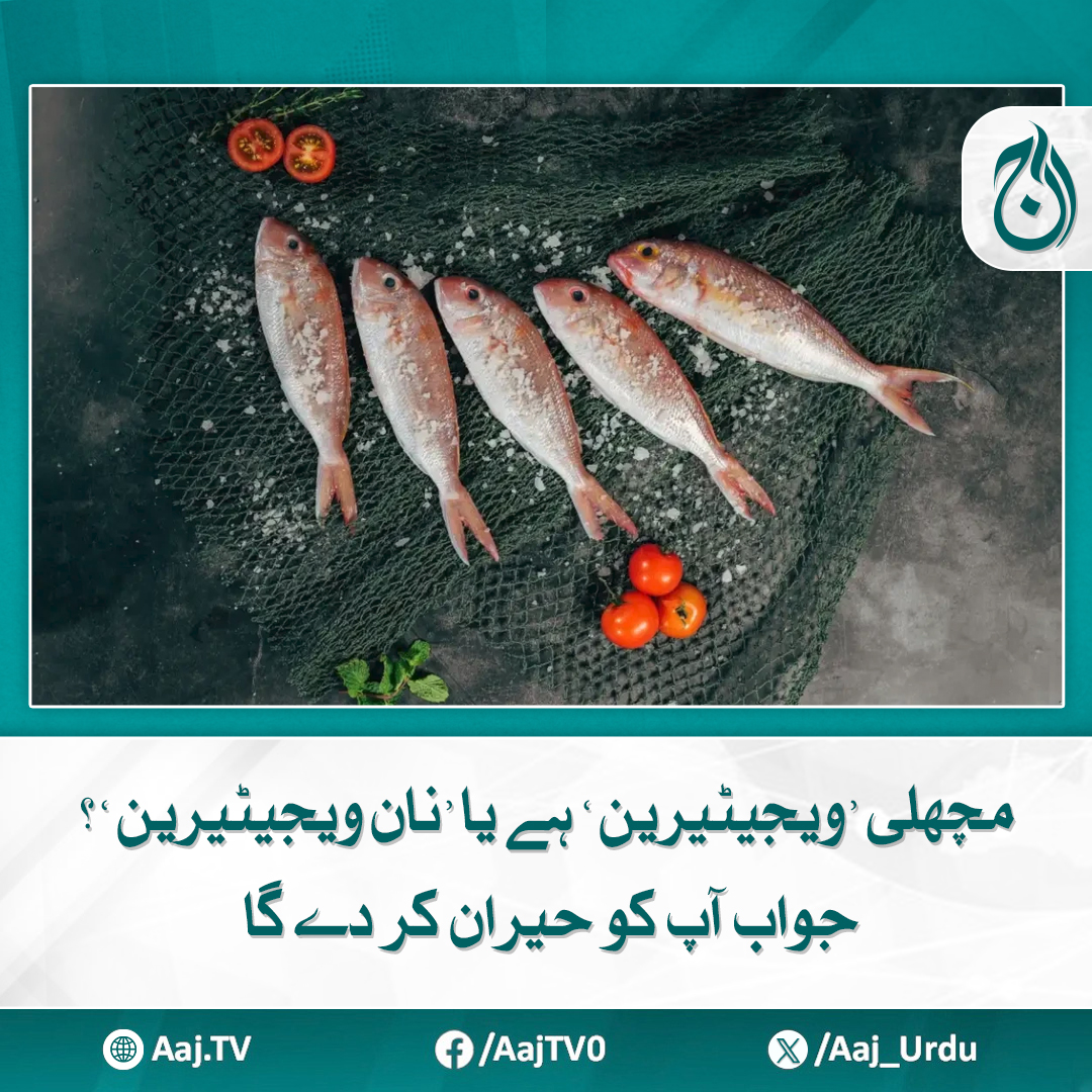 Aaj_Urdu's tweet photo. صحت کے لیے فائدہ مند مچھلی کو کچھ لوگ ویجیٹیرین مانتے ہیں، مگر حقیقت کیا ہے؟
مزید پڑھیئے: https://t.co/IfbuwgcZCW
#AajNews #FishDebate #VegetarianOrNot #FoodFacts https://t.co/023o1Ngx6x