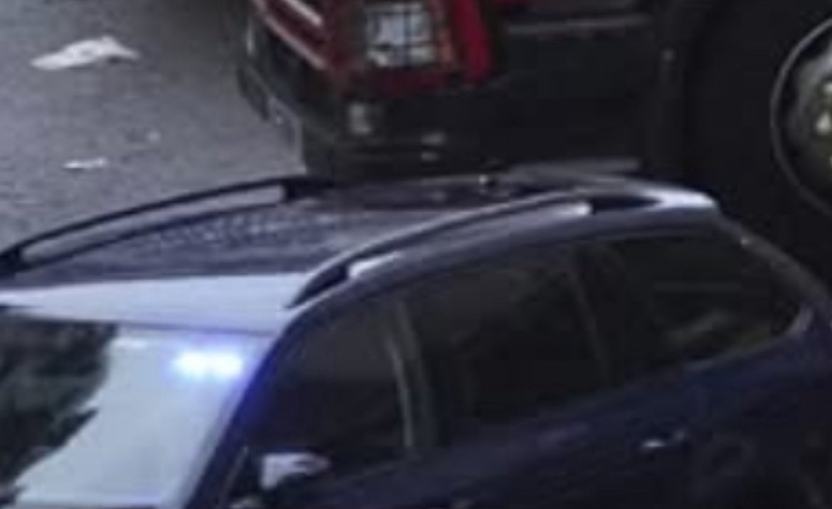 Van Man Removals tweet media