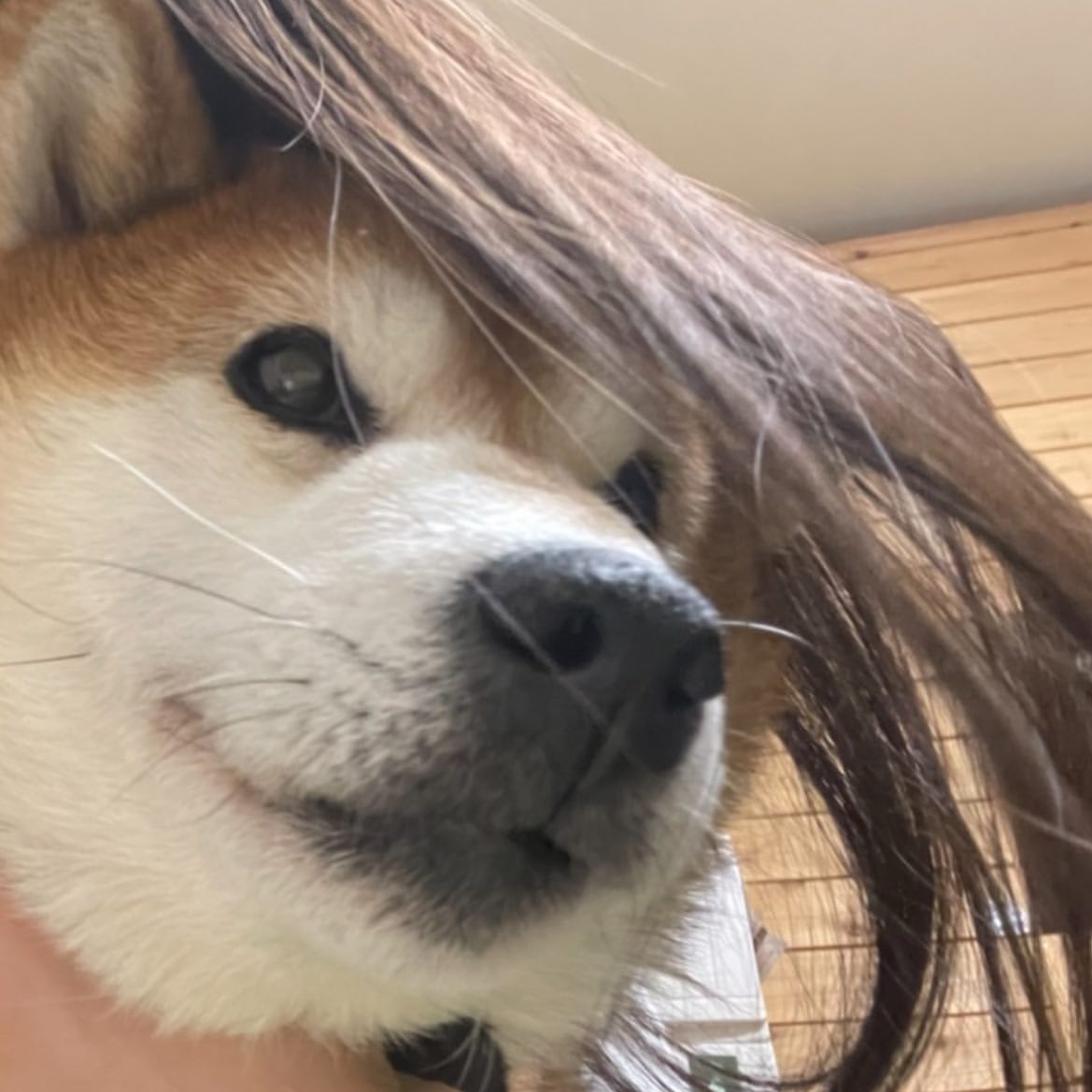 上网被墙，用狗急VPN，支持ChatGPT、不限流量不限速，超清视频秒开～goj123.com/app/t20.html（复制链接到浏览器打开