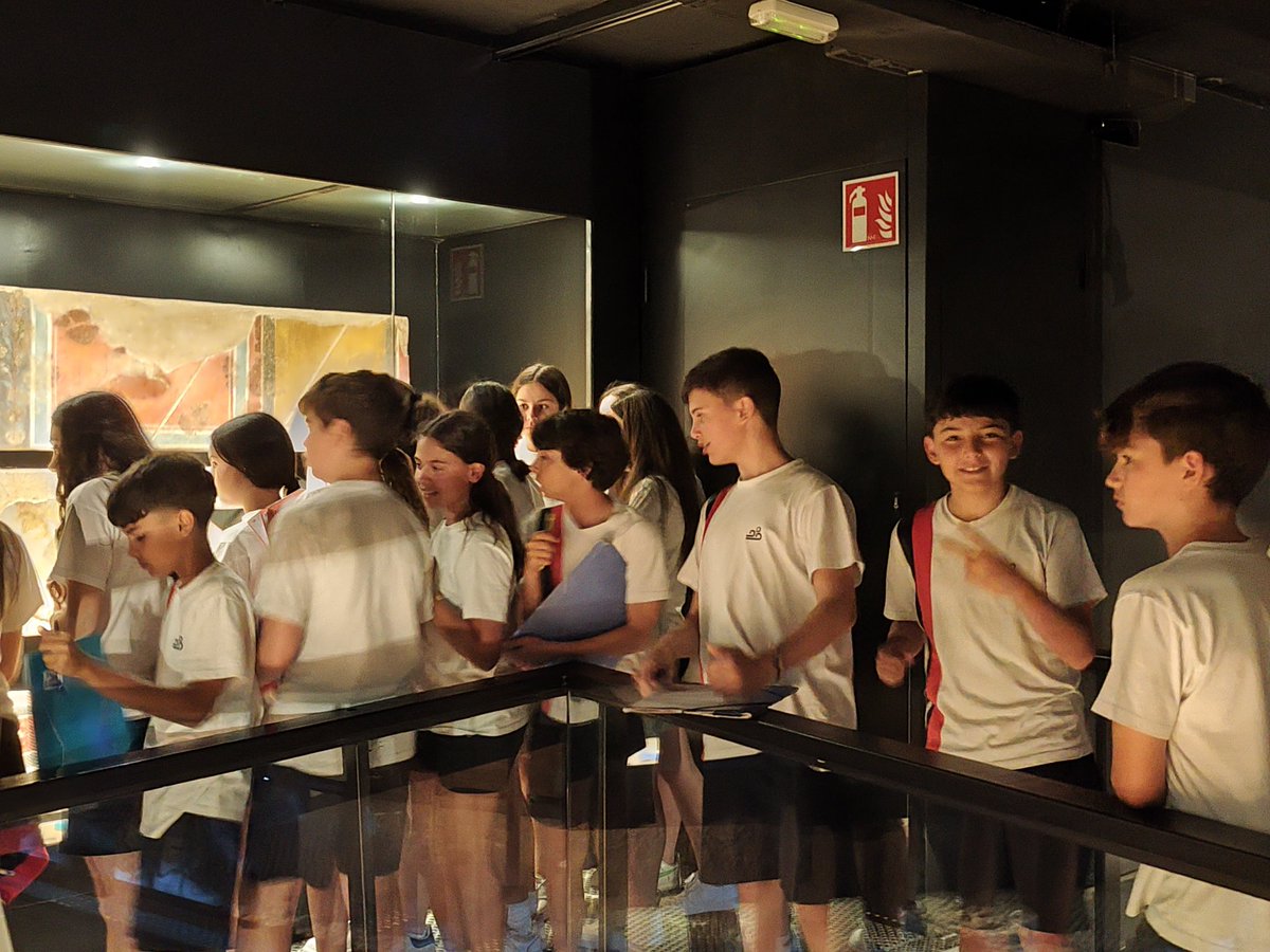 Col·legi Sant Andreu tweet media