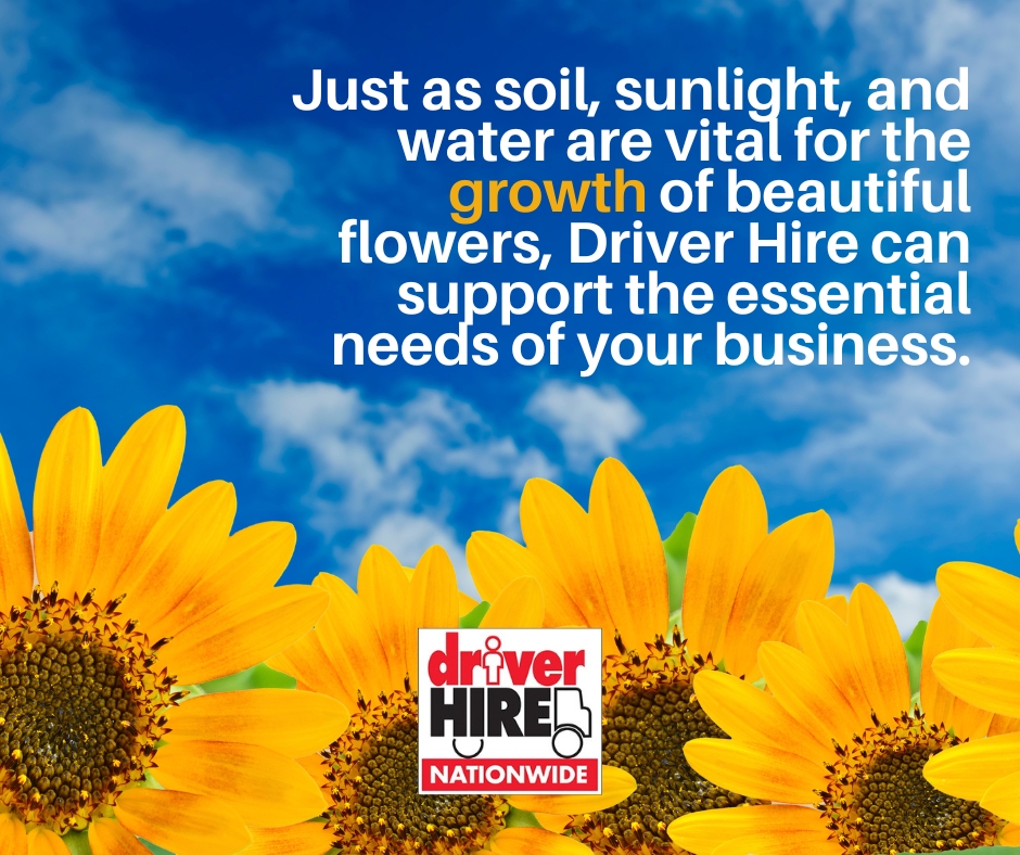 Just as soil, sunlight, and water are vital for the growth of beautiful flowers, Driver Hire can support the essential needs of your business by forward planning to cultivate your business success. Call us on 01202 497597 or 01980 243118 for flexible temporary staff.