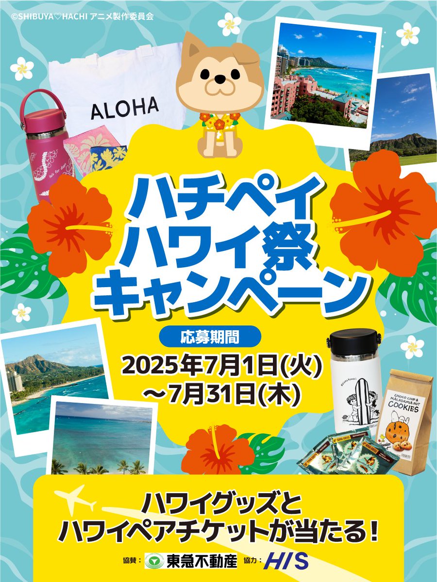 【開催】渋谷区とホノルル市の姉妹都市提携１周年を記念して「ハチペイハワイ祭キャンペーン」を開催します。
期間:7/1(火)～7/31(木)
※キャンペーン内容は予告なく変更または中止となる場合があります。
詳しくは、ハチペイHPで。(産業観光課)
hachi-pay.tokyo/news/detail/?i…
