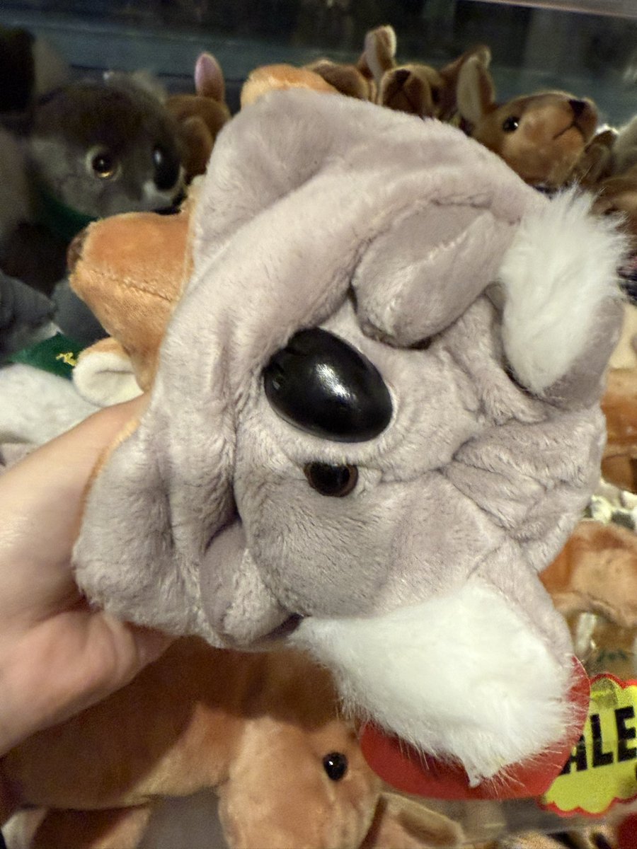 #AdoHibana
Good morning. I'm live in Melbourne today. It's an art forest city 🎨.