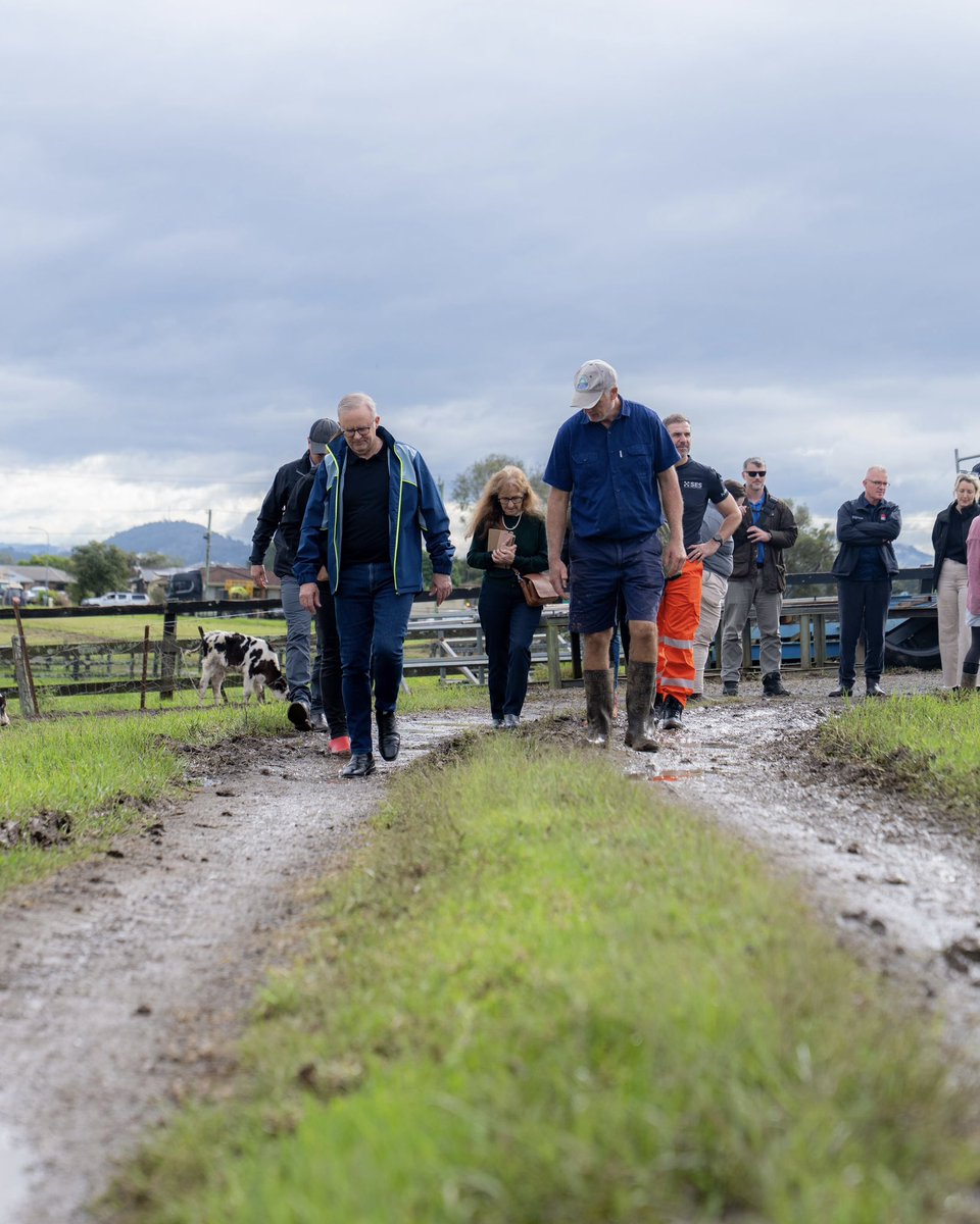 Anthony Albanese tweet media