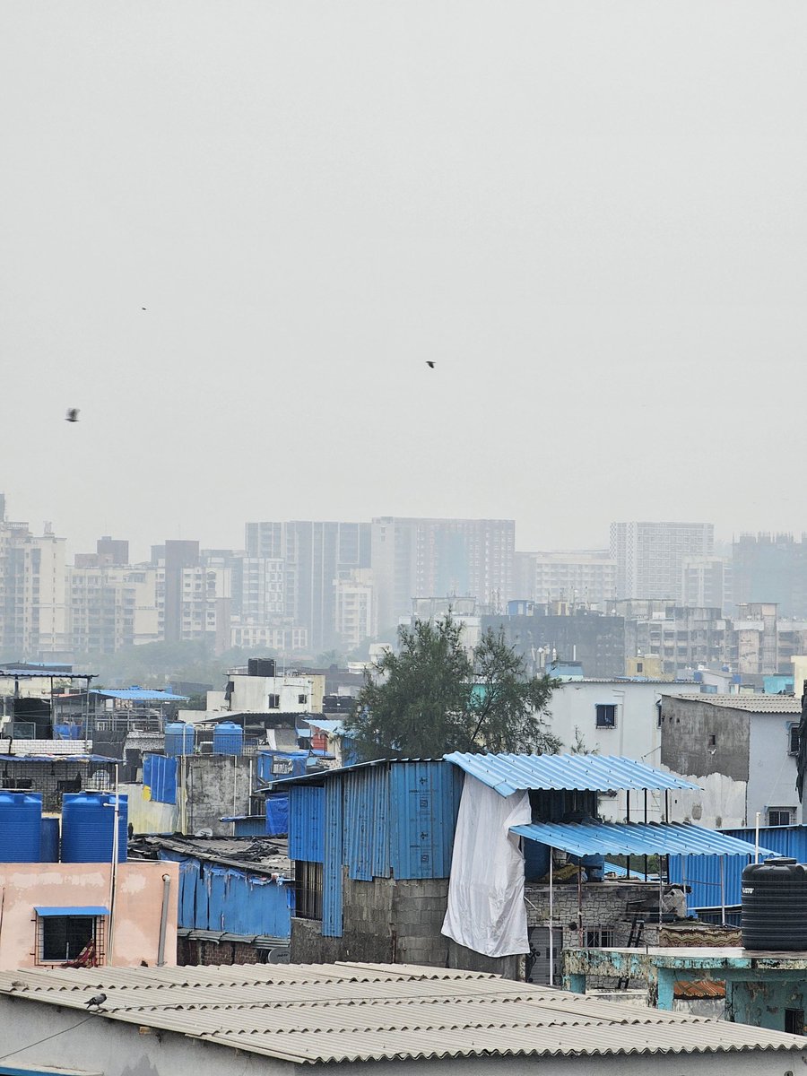 Morning in Mumbai’s forgotten lanes.
Amid corrugated roofs and blue tarps, life stirs quietly.
Birds rise before the city. So does resilience.
A skyline of contrast, but also of co-existence.
#Mumbai #UrbanRealities #SlumStories #MorningView