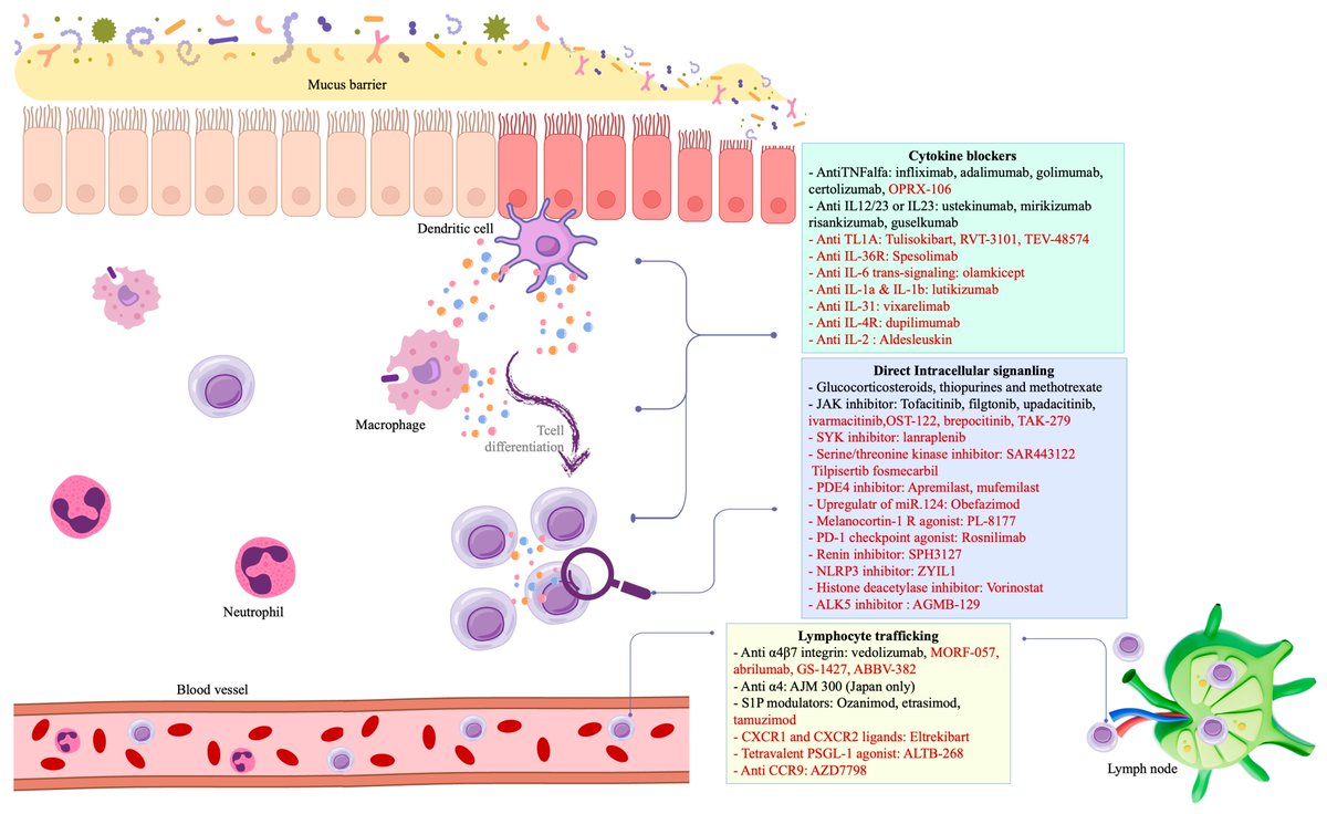 JCM MDPI (@jcm_mdpi) on Twitter photo #mdpijcm
#Feature_Paper
Paradigm Shift in #InflammatoryBowelDisease Management: Precision Medicine, Artificial Intelligence, and Emerging Therapies
by Antonio M. Caballero Mateos et al. <a href="/Dr_ACaballero_/">Antonio Caballero Mateos PhD</a> <a href="/Bealoquebea/">Beatriz Gros</a>
🙌mdpi.com/3198456
<a href="/MediPharma_MDPI/">MDPI Medicine & Pharmacology</a> #mdpijcm
#Feature_Paper
Paradigm Shift in #InflammatoryBowelDisease Management: Precision Medicine, Artificial Intelligence, and Emerging Therapies
by Antonio M. Caballero Mateos et al. <a href="/Dr_ACaballero_/">Antonio Caballero Mateos PhD</a> <a href="/Bealoquebea/">Beatriz Gros</a>
🙌mdpi.com/3198456
<a href="/MediPharma_MDPI/">MDPI Medicine & Pharmacology</a>