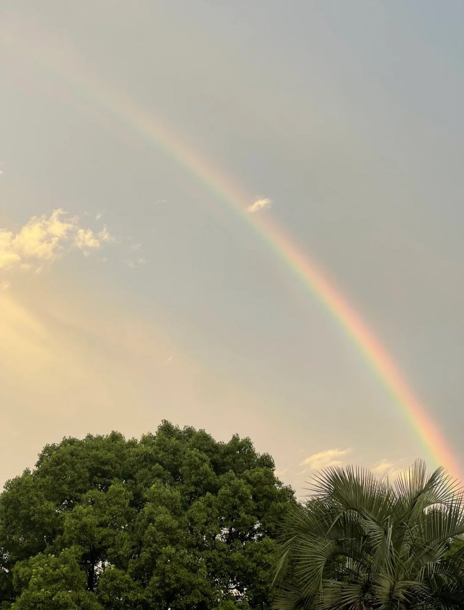 🍓 Anna 🍓 tweet media