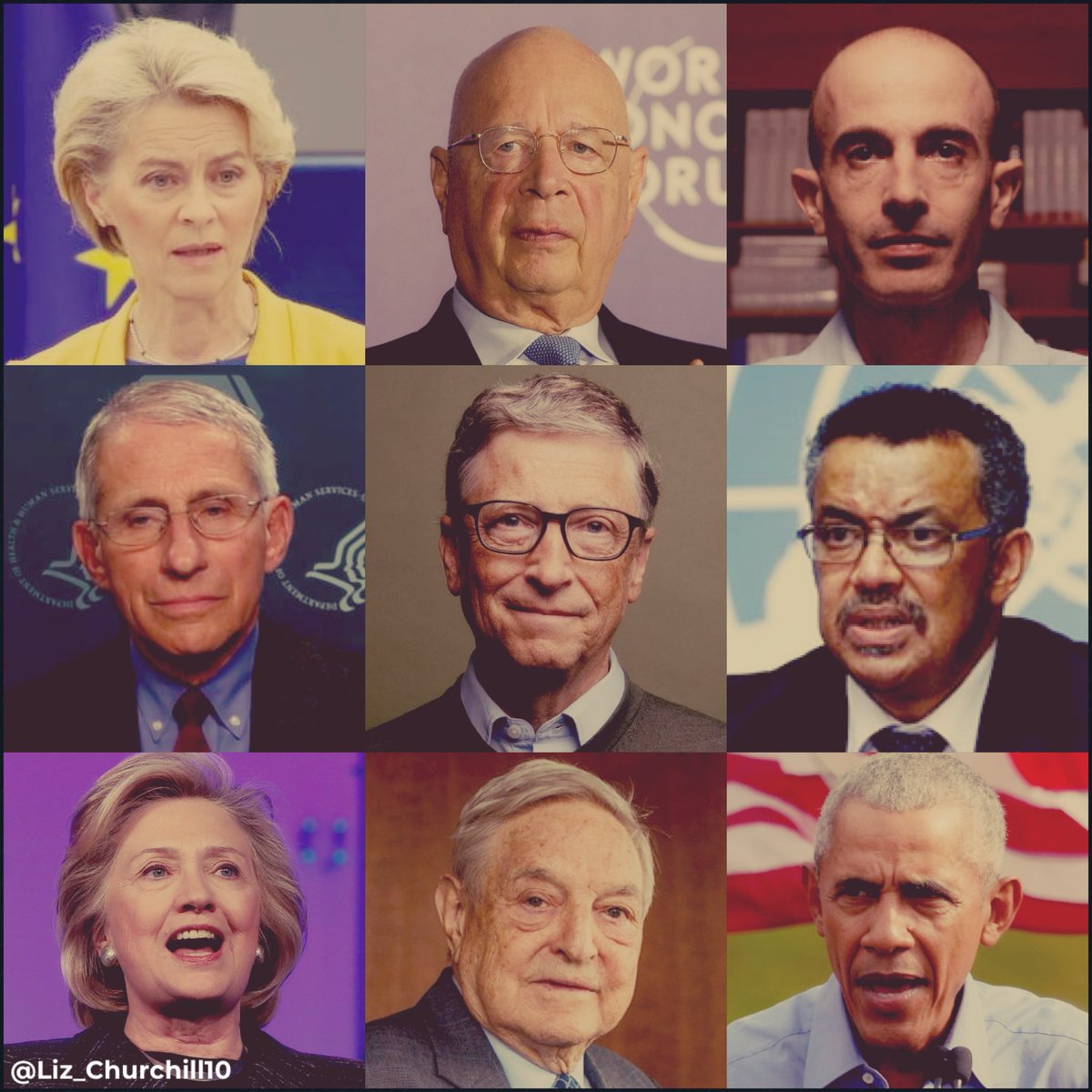 The ‘Depopulation Experts’…