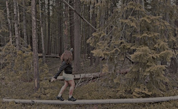 M1SSW4T3RPR00F's tweet photo. ㅤㅤ
🏕️ ㅤ*ㅤ Starter  Call  de  renovación  :

𝐑𝐓 ⸻ para planear ( o retomar ) en dm. 
𝐅𝐀𝐕 ⸻ para una mención en el campamento.
ㅤ https://t.co/YUhjvm5aHs
