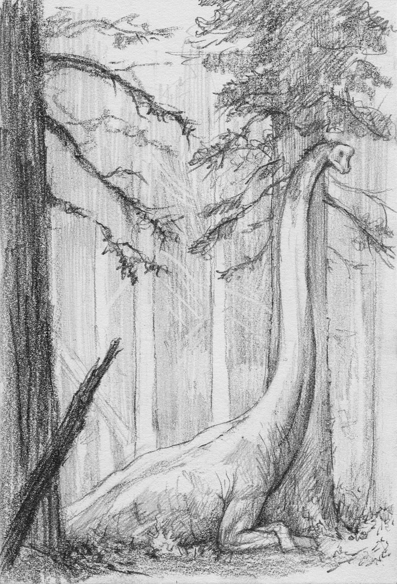 Brachiosaurus
4×6 inches
Pencil on paper