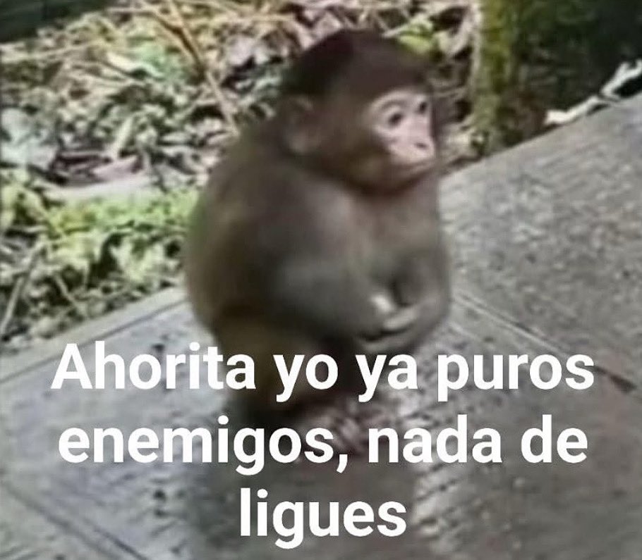 emociones amarillas tweet media