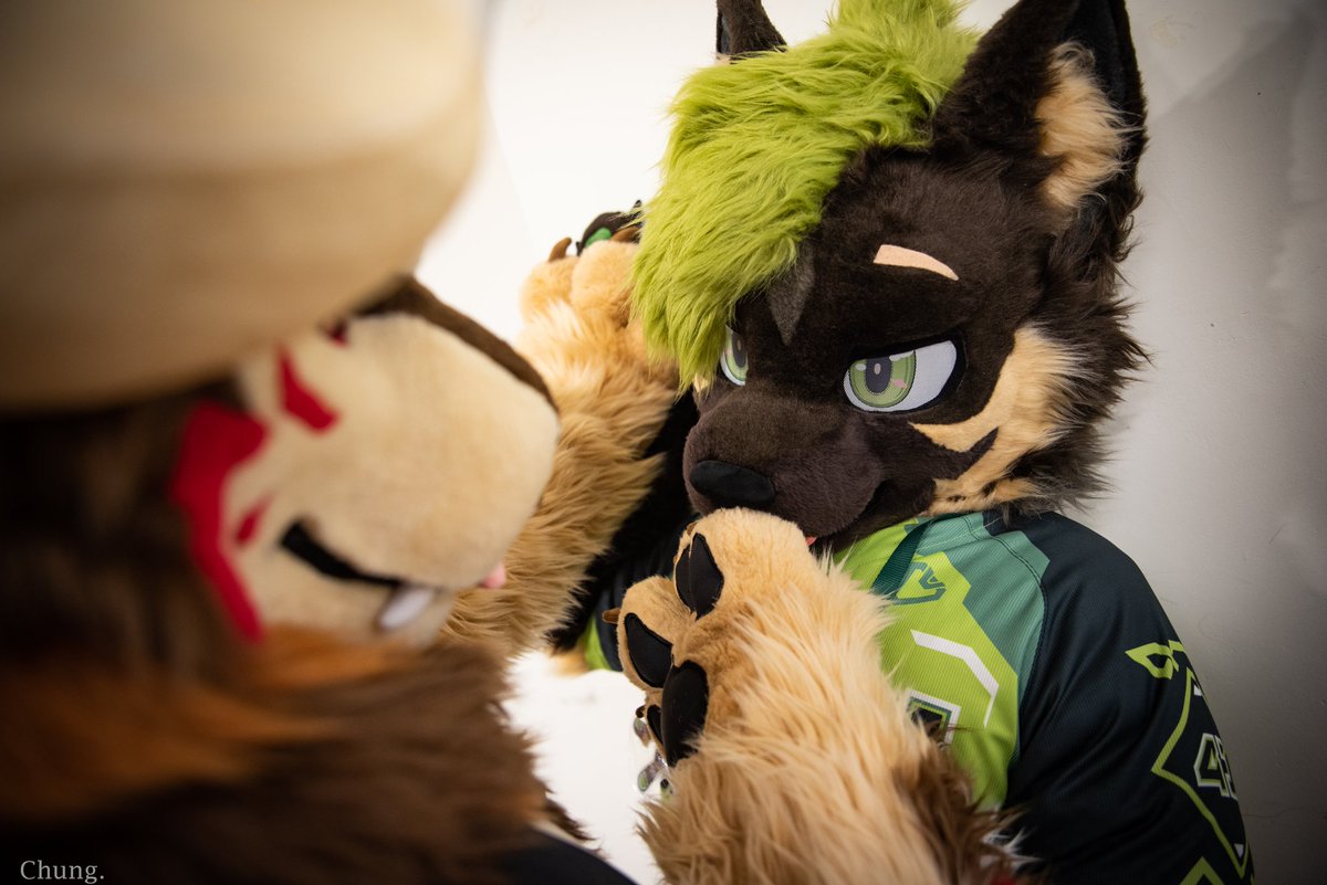 野球部の先輩が......
#FurrySaturday #遛毛區
#FursuitEverday