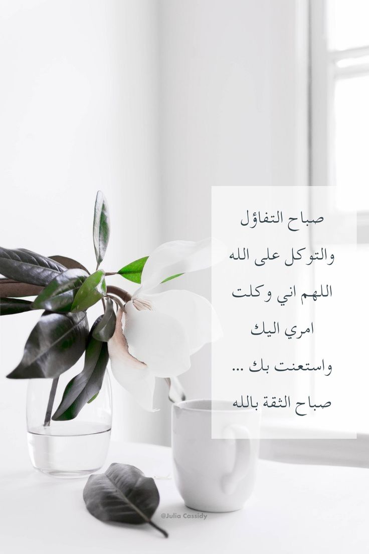 bintanam's tweet photo. @jox341 @halaharb1969 https://t.co/cCApDip3fl