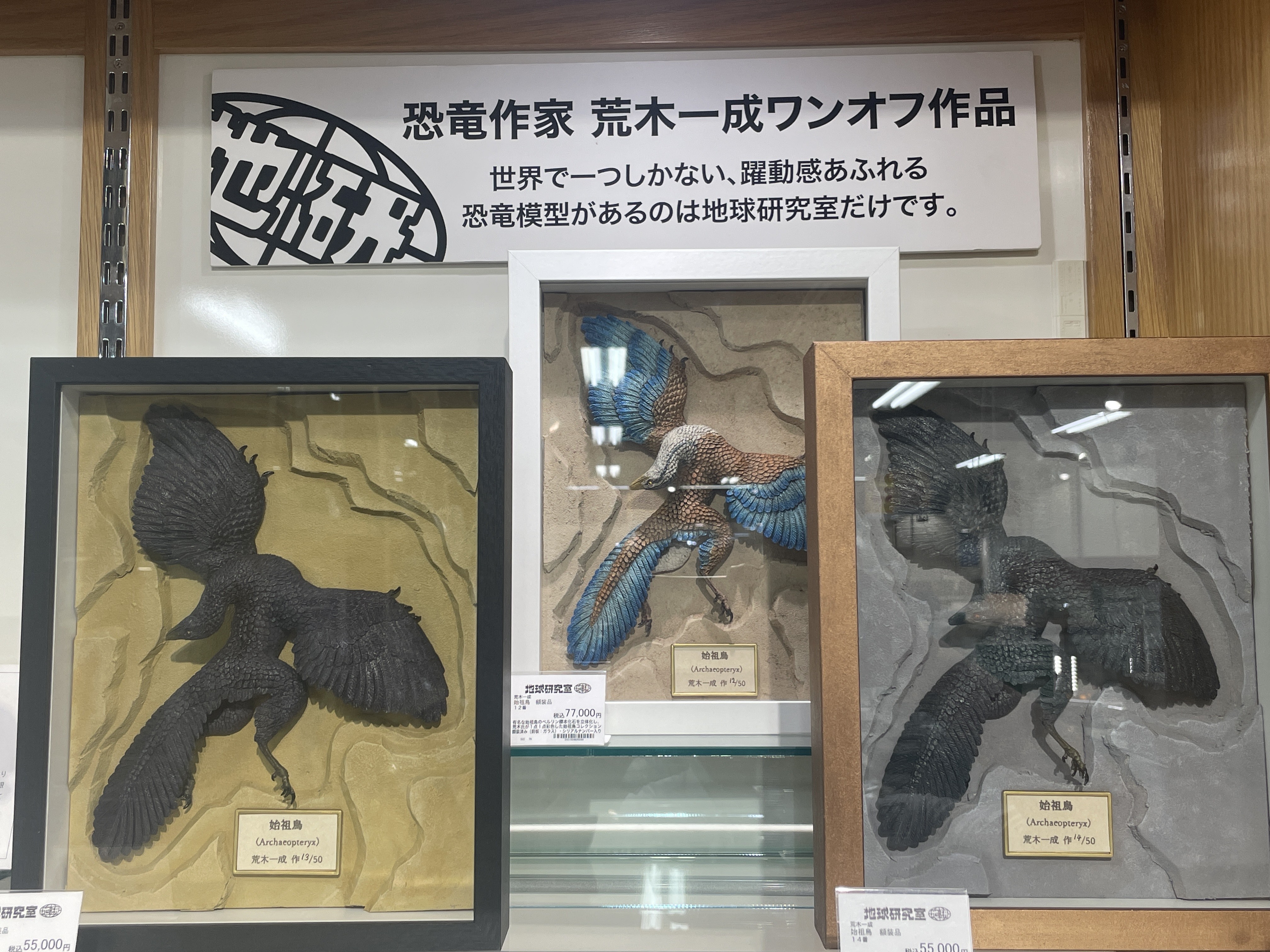 始祖鳥 化石 ベルリン標本