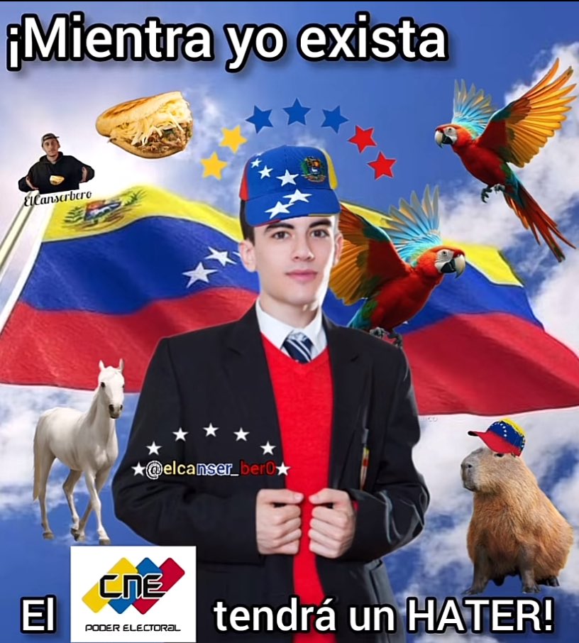 harina pan (@harinapanvnzlaa) on Twitter photo 