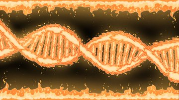 Kellyborren's tweet image. FogoSwap is online: transaction confirmation speed is 0.3 seconds, and 0.1% of tokens are automatically burned for each transaction #LightningLevelDEX
@FogoChain @FogoNFT #FogoChain @KaitoAI