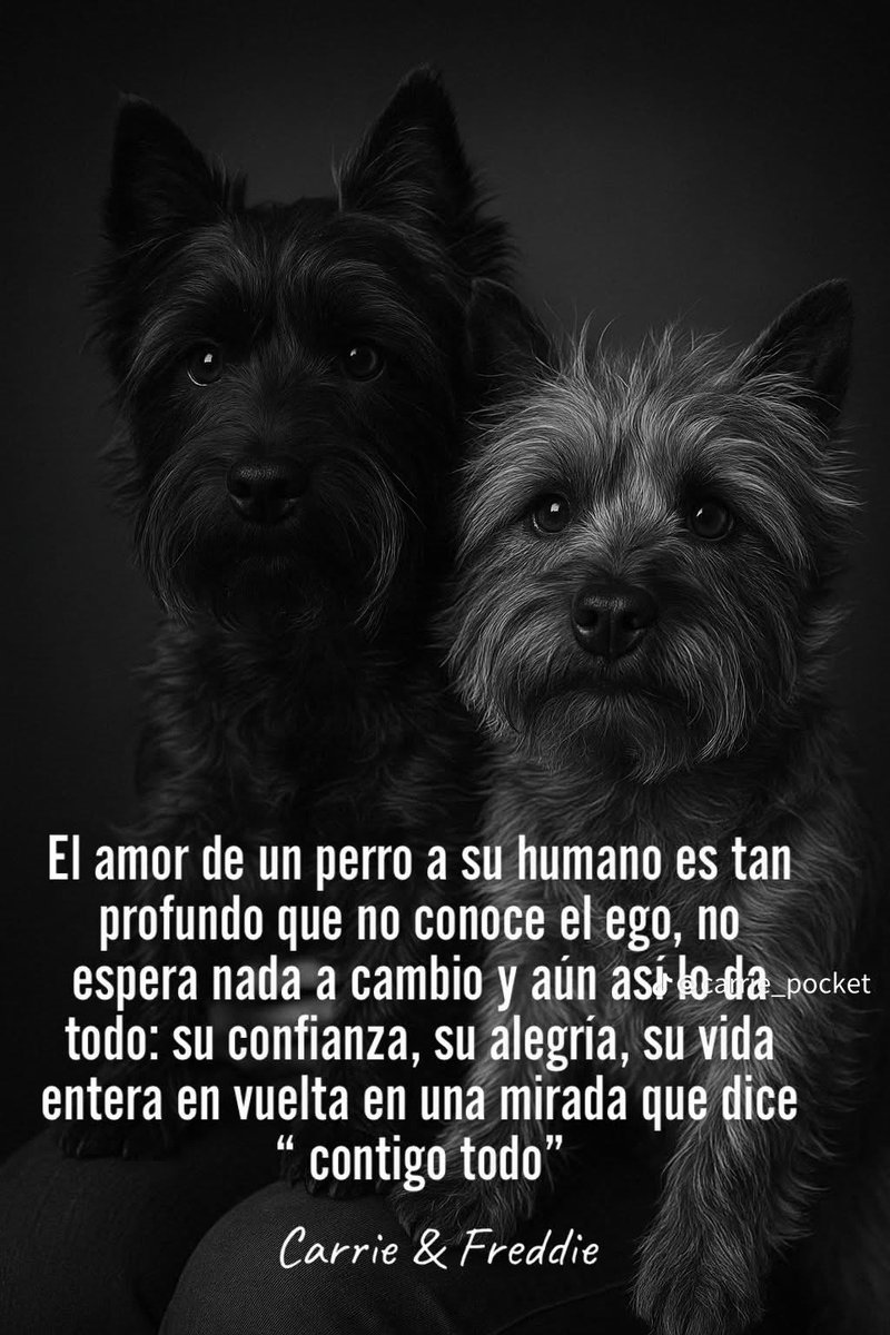mayumiguillen's tweet photo. https://t.co/wZZc30bDxK