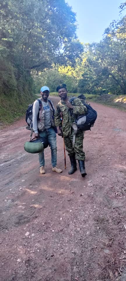 Bwindi Sarambwe Mountain gorilla census ( Sweep 1-Phase2) in Mburamezi camp@ May2025
