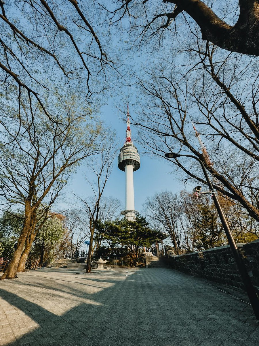 Master3Language's tweet image. Witness Seoul from new heights at Namsan Tower! 🏙️🌿

■Learn Korean with 1-on-1 lessons from a native teacher!
■Source: pexels.com

#NamsanTower #SeoulVibes #SkylineViews #KoreaTrip #TravelDiaries #CityEscape #learnkorean #SouthKorea