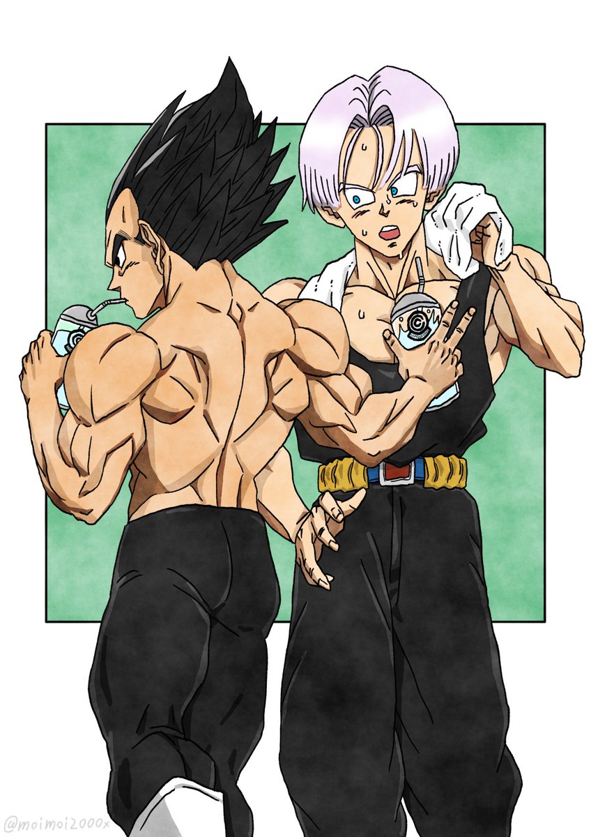 トレーニング後のふたり

 #ドラゴンボールイラスト
 #アイビスペイント