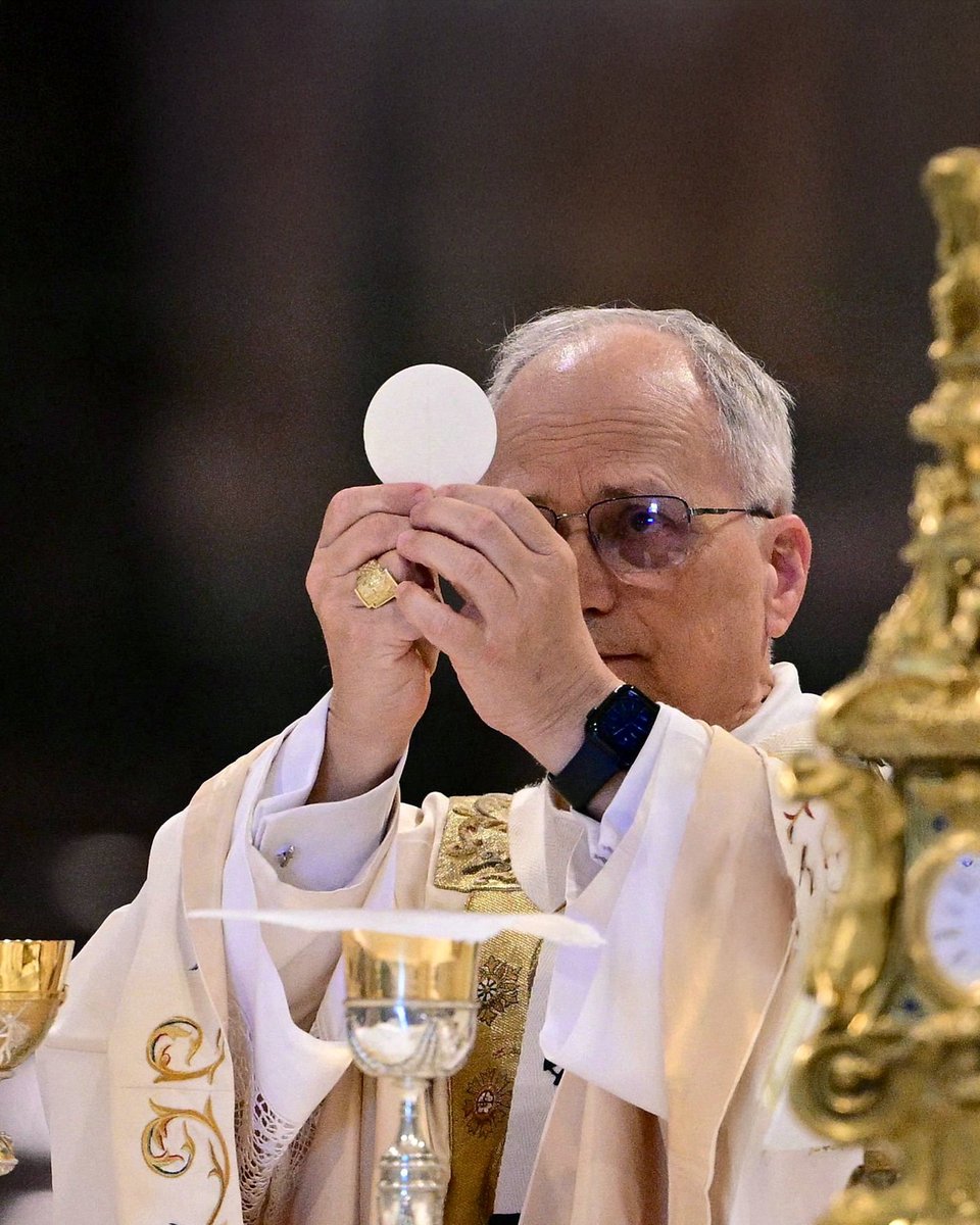 Alma de Cristo, santifícame.

Cuerpo de Cristo, sálvame.

Sangre de Cristo, embriágame.

Agua del costado de Cristo, lávame.

Pasión de Cristo, confórtame.

¡Oh, buen Jesús!, óyeme.

Dentro de tus llagas, escóndeme.

No permitas que me aparte de Ti.

Del maligno enemigo,