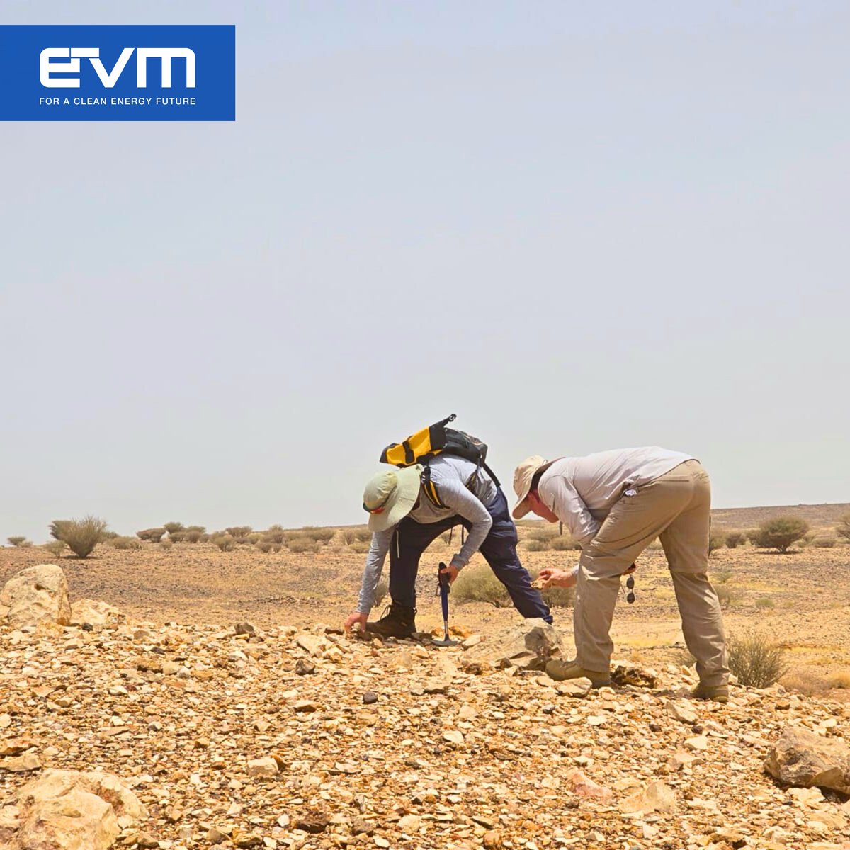 EV Metals Group (EVM) tweet media