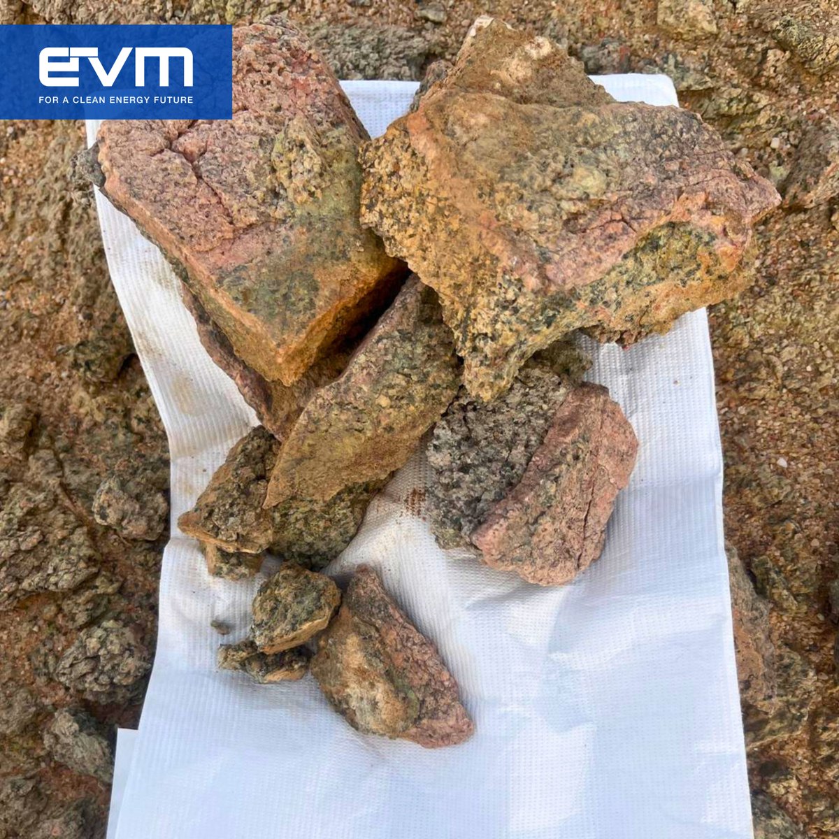 EV Metals Group (EVM) tweet media