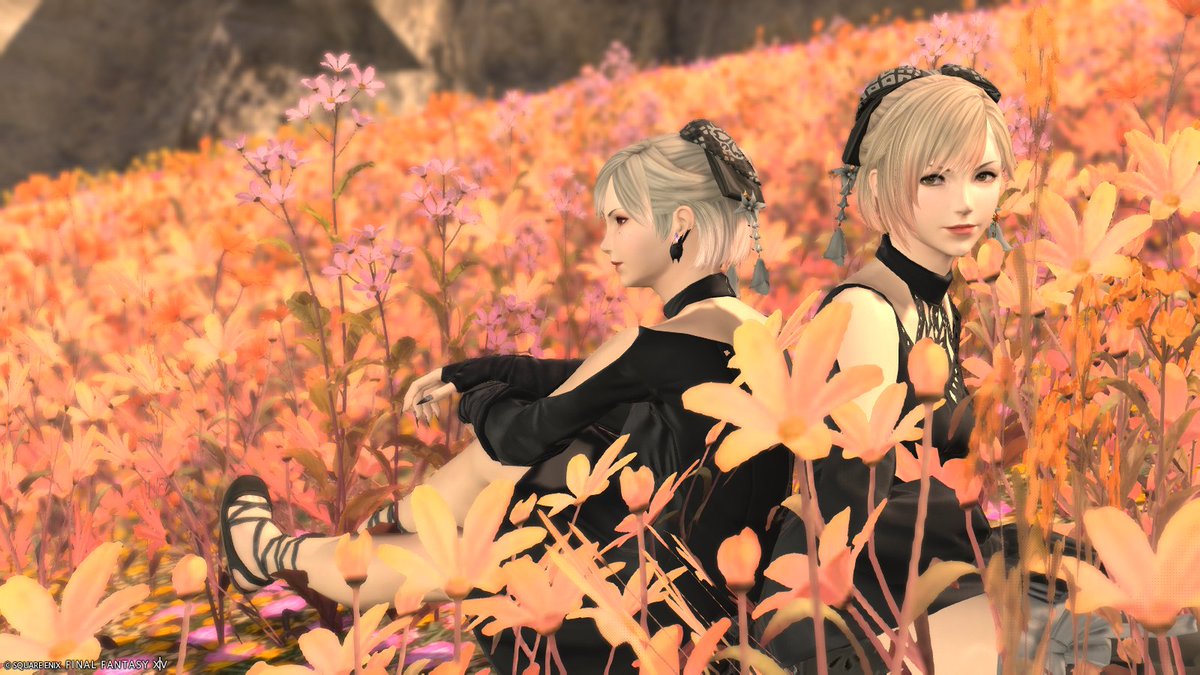 AylethFFXIV's tweet photo. #メンテだしとにかくあなたのssが好きって思ってくれるひとと出逢うために自分の推しssをそっと置いておく https://t.co/rUVEaxpDyD