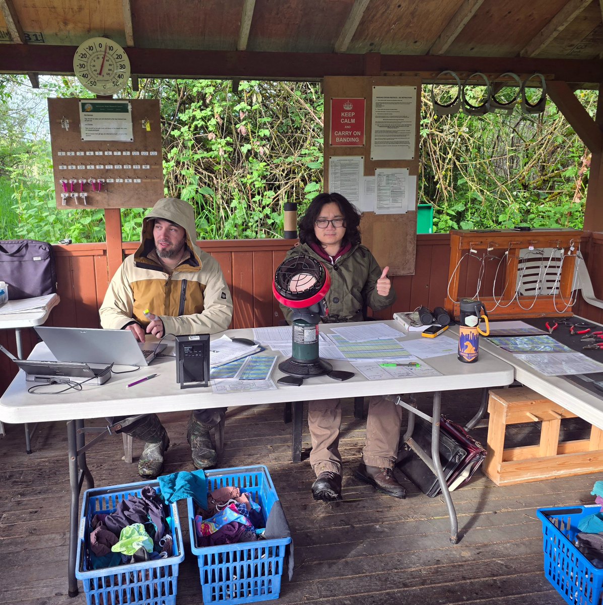 VARCbirdbanding's tweet photo. What does bird banding actually look like? 🐦

At our station, every bird goes through a careful process:

Extraction from the mist net

Measurements

Banding with a correctly sized aluminum band

Scribing data

Then — a safe release back into the wild 💨 https://t.co/A7rbYrkbqG