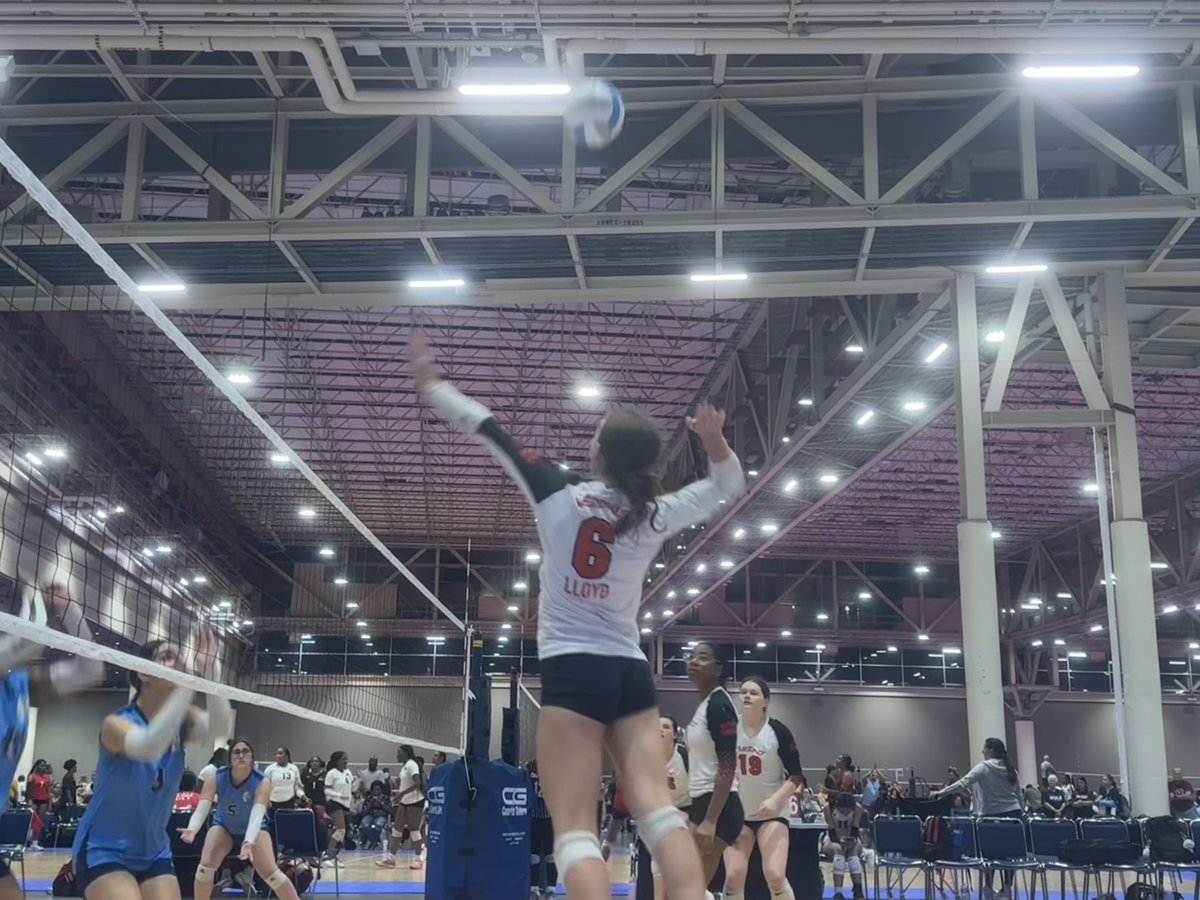 John Lloyd tweet media