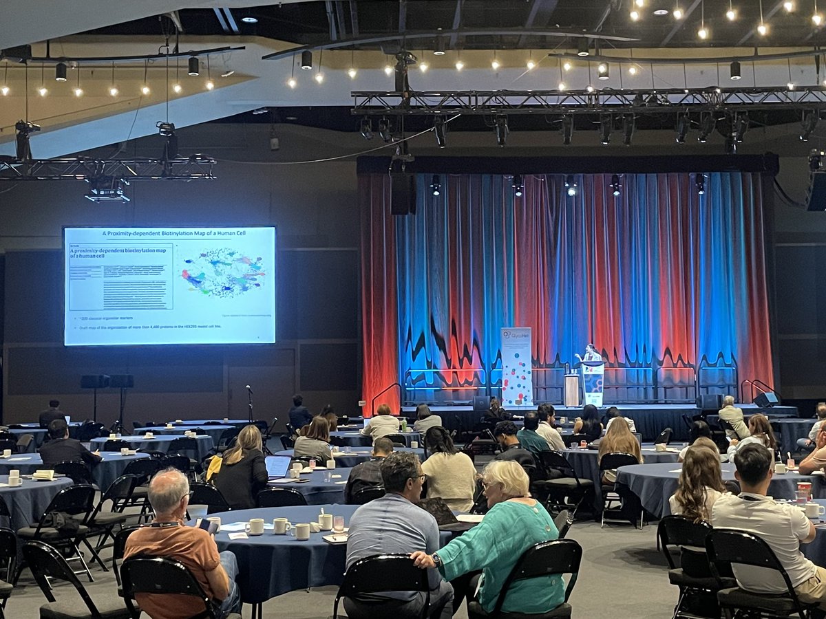 Had an awesome time presenting my work today at #Glyco27! Only Day 2 and I’ve already had great discussions, heard some really inspiring talks, and met amazing people ✨. Big thanks to the organizers for the opportunity!