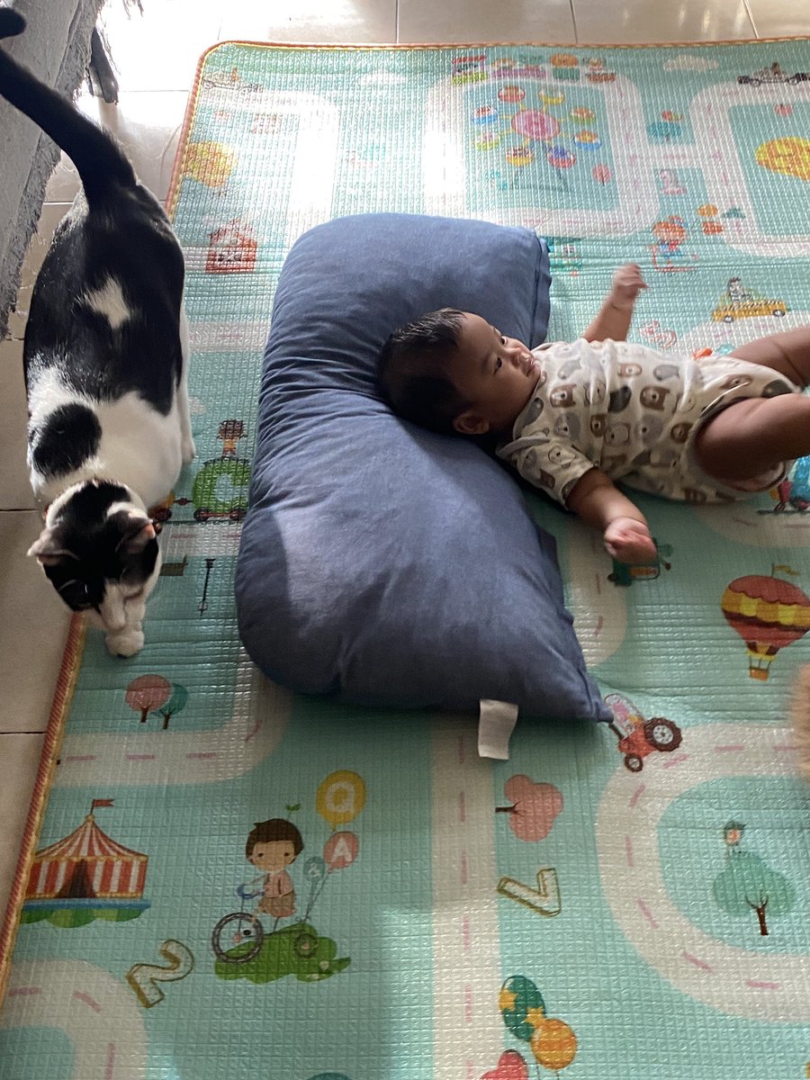 <a href="/yemmeow/">emma</a> @Miyabellsoz Sori busy