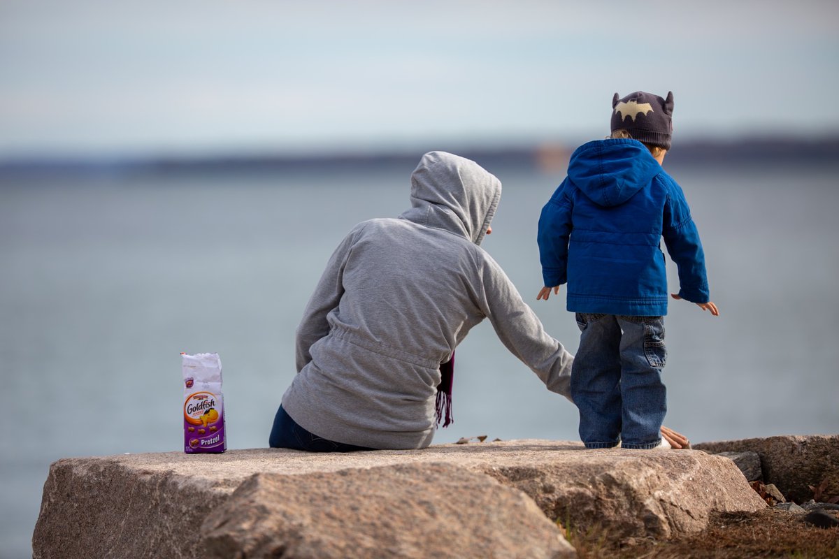 MaciaPhoto's tweet photo. It’s about the little moments…@GoldfishSmiles https://t.co/W3bMb5iaAw