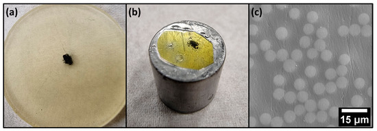 JFibers's tweet image. 🔔 Highly Viewed Paper in 2024 - Editor’s Choice Articles 
📑 Nanomaterial-Enhanced Sizings: Design and Optimisation of a Pilot-Scale Fibre Sizing Line
📌 mdpi.com/2079-6439/12/2…

#fibers #carbonfibre #nanomaterial
@MDPIOpenAccess
@ChemMatSci_MDPI