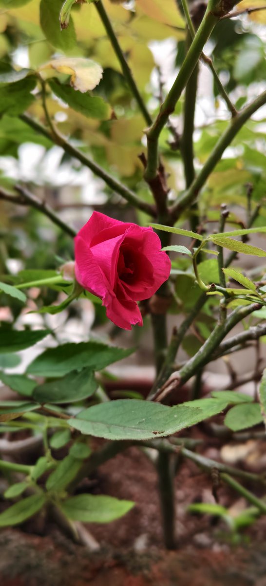 umangjp2010's tweet image. #photooftheday  #photostories this photo shows you will be have wonderful new #begining &amp;amp; start your #New #journey #God #Blessings are with you always