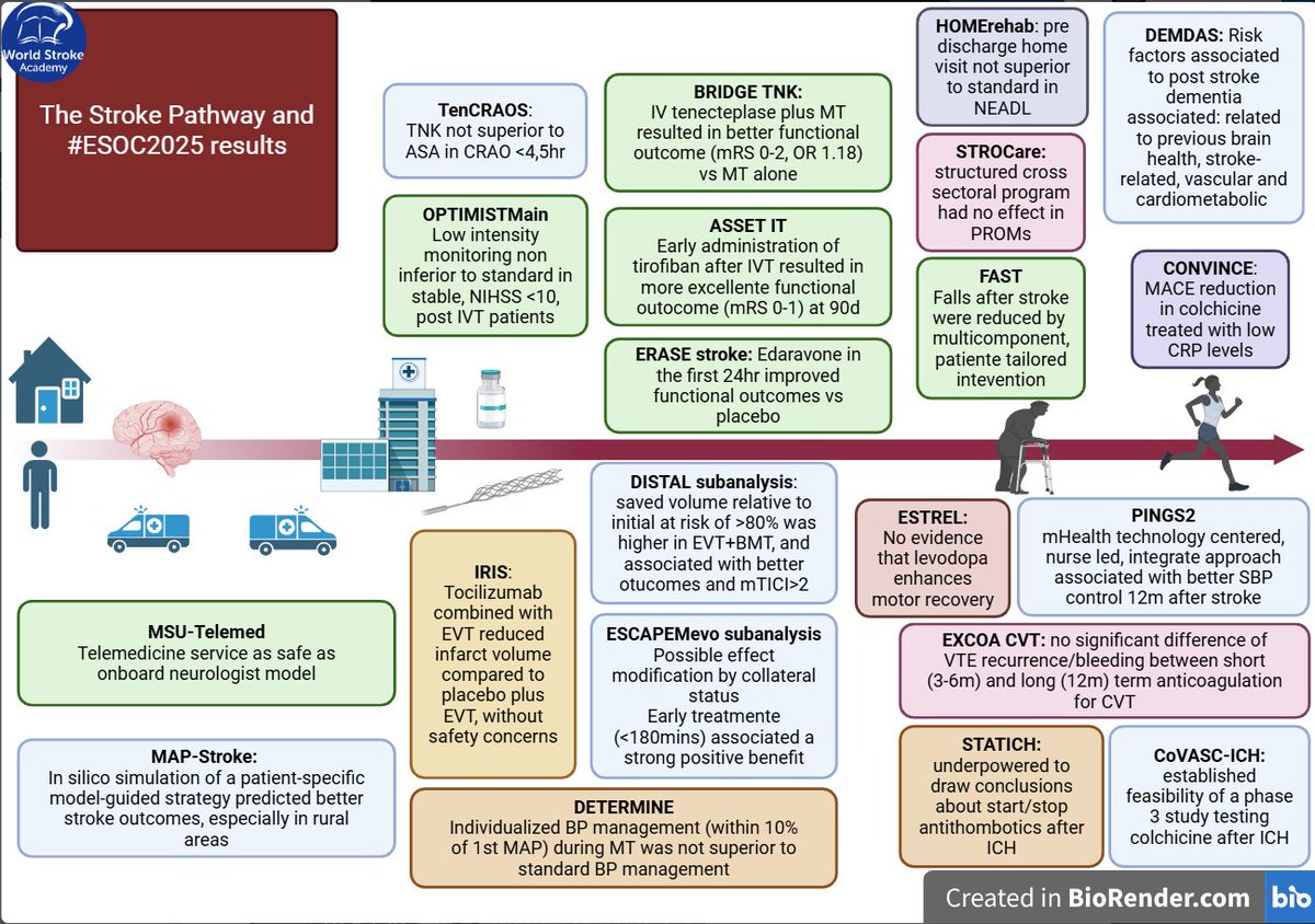 World Stroke Academy (@worldstrokeed) on Twitter photo #MondayTip
The stroke pathway and #ESOC2025 result
Last week, Helsinki brought together the world’s leading stroke experts—leaving us with new evidence, fresh questions, and future challenges.
All with one goal: improving outcomes for our patients
<a href="/ESOstroke/">European Stroke Org</a> #MondayTip
The stroke pathway and #ESOC2025 result
Last week, Helsinki brought together the world’s leading stroke experts—leaving us with new evidence, fresh questions, and future challenges.
All with one goal: improving outcomes for our patients
<a href="/ESOstroke/">European Stroke Org</a>