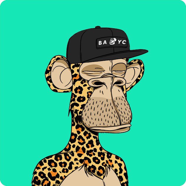 Gandy780's tweet photo. Hey 👋, 

This is my @BoredApeYC and I am a proud member. https://t.co/IJdKVwXfk3