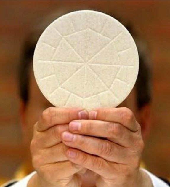 I believe in one holy, catholic, and apostolic Church ✨️